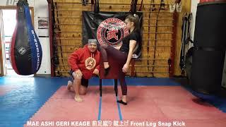 Quarantine Video  27 MAE ASHI GERI KEAGE 前足蹴り 蹴上げ Front Leg Snap Kick [upl. by God544]