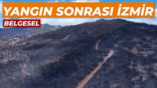 İzmirin Dağlarında Çiçekler Açar Mı Acaba [upl. by Tonkin]