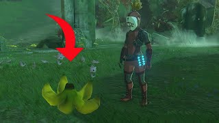 What Happens if you Pick up a Yiga Trap in The Yiga Outfit [upl. by Nitsu977]