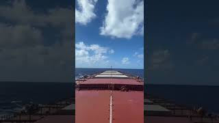 BULK CARRIER SHIP  PANAMAX BULK CARRIER  SELLING SHIP  HEAVY WEATHER bulkcarrier ship sealife [upl. by Katalin973]