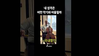 재미로보는 나만의 악기고르기 violin 바이올린 [upl. by Ahsaele]