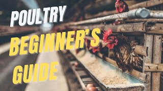 Poultry farming full guide for beginners  The FarmGuide Sn1 E2 [upl. by Marrilee601]