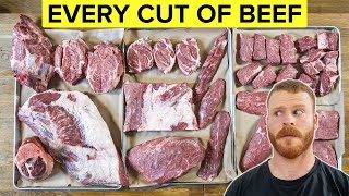 Beef 101 The Beginners Guide to Every Cut of Beef [upl. by Ahsinrad888]