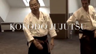 KOKODO JUJUTSU  SOKE IN PARIS [upl. by Eelanaj]