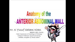 Anatomy  ANTERIOR ABDOMINAL WALL  Part 1  Dr Yusuf [upl. by Cirded]