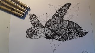 SPEED DRAWING  Tortue de mer pointillisme [upl. by Neliak]