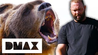 Is A Professional Arm Wrestler Stronger Than A Bear  Man vs Bear [upl. by Hollander]