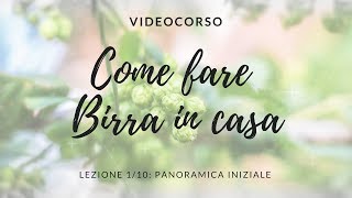 COME FARE BIRRA IN CASA  Videocorso  Ep110 [upl. by Anibur588]