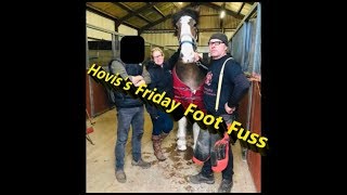 Hovis Post Keratoma Removal Surgery Shoeing [upl. by Veronica]