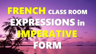 French Classroom Expressions in Imperative Form [upl. by Fen]