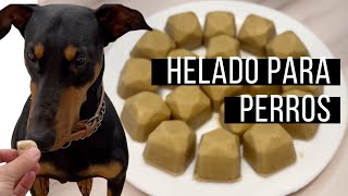 🐶 HELADO PARA PERROS Receta fácil sólo 4 ingredientes [upl. by Adlihtam628]