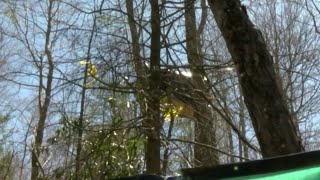 Charges filed against Bent Mountain tree sitters [upl. by Ahsielat557]