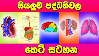 OL Science Sinhala  Grade 11 Science Unit 6  Body Systems Short Notes [upl. by Pich]