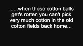 CCR cotton fields lyrics [upl. by Arakaj]