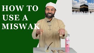 How to Use a Miswak [upl. by Spohr815]