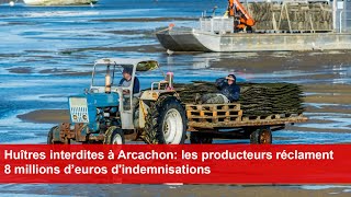 Huîtres interdites à Arcachon les producteurs réclament 8 millions d’euros dindemnisations [upl. by Enawyd]