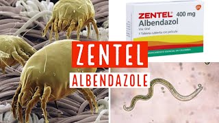 ZENTEL 400 mg ALBENDAZOLE [upl. by Ahcsropal]