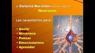 Dr Alejandro Andersson Clase sobre el Sistema Nervioso para Alumnos del Colegio año 2009 [upl. by Mail]