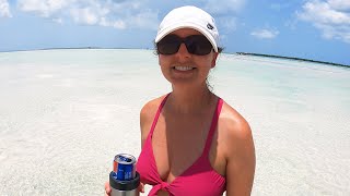 The Best Sandbar Marathon Florida Keys Day 4 Florida to Bimini Bahamas [upl. by Levesque]