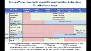 June 24 2021 ACIP Meeting  Influenza Vaccines [upl. by Moyna]