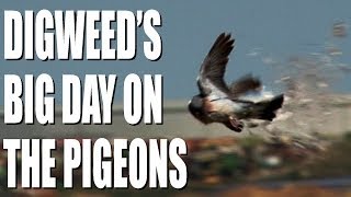 George Digweeds big day on the pigeons [upl. by Cecil703]