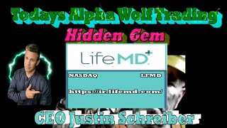 Alpha Wolf Interview with CEO Justin Schreiber of LifeMD LFMD [upl. by Docila429]