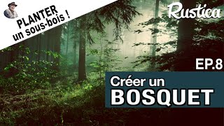 Créer un bosquet – 8  Planter un sousbois [upl. by Bishop]