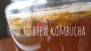 How to Make amp Brew Kombucha Tea [upl. by Eisenstark]