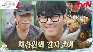 이렇게 입고 감자를 캐야 능률이 올라갑니다만 삼시세끼Light EP2  tvN 240927 방송 [upl. by Anivlac792]