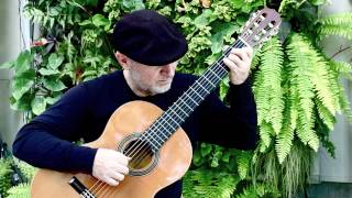 Fur Elise Beethoven Michael Lucarelli classical guitar [upl. by Poppy]