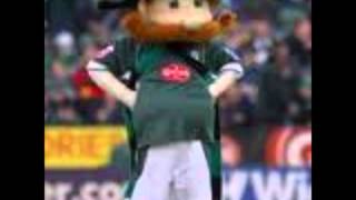 Plymouth Argyle Best Team In The World SONG [upl. by Eindys]