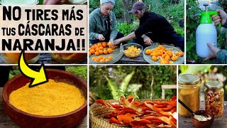 🍊NO TIRES MÁS tus CASCARAS DE NARANJA Podés hacer de TODO🍊 [upl. by Ott]