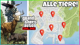 So findest du ALLE TIERE der WILDLIFE PHOTOGRAPHY CHALLENGE in GTA 5 ONLINE❗️ Tier Locations GTA 5 [upl. by Esac805]