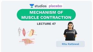 Phoenix 20 Biology Most Important Video for NEET 2025  Udaan [upl. by Pampuch]