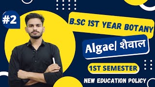 शैवाल bsc 1st year botany chapter 1 algae  botany bsc 1st year  botany 1st semester classes 2024 [upl. by Nalyak788]