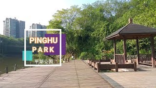 PingHu Park  平湖公园 [upl. by Yetsirhc]