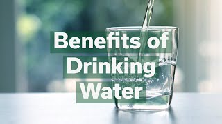 Benefits of Drinking Water [upl. by Ynnelg]