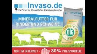 wwwinvasode  Ihr Portal für Mineralfutter und Milchaustauscher [upl. by Pears]