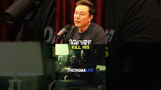 Rogan and Musk on Why John Wick is the Best Movie [upl. by Anipsed360]