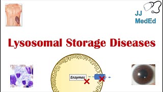 Lysosomal Storage Diseases  Overview and What You Need to Know [upl. by Waynant]