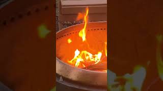 Smokeless Fire Pit Showdown Solo Stove vs Breeo Comparison [upl. by Htebharas]