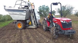 Raccolta Olive Meccanizzata 2017 con vendemmiatrice VolentieriPellenc PUGLIA  ITALY [upl. by Oleg]