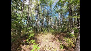 Acorn Ridge Highway 127 ACRE Ocqueoc MI  201832026 [upl. by Darline]