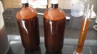 Coopers Draught Homebrew Beer Experiment  Part 1 [upl. by Kcaj]