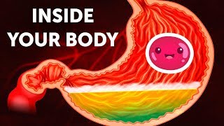 A Journey Inside Your Body [upl. by Releyks]