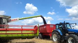 NEW Claas Lexion 760  1050v  New Holland CX8080 Žně 2013Ernte 2013żniwa 2013 [upl. by Pretrice701]