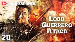 Fuerza Especial China lobo de guerra defiende su honor  Lobo Guerrero Ataca EP20  WuJing [upl. by Aketahs]