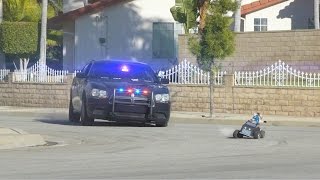 Cat Cop Chase  Aarons Animals [upl. by Aneelad]