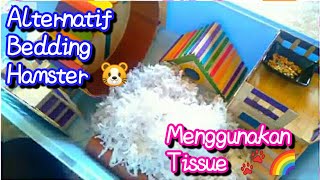 Cara Membuat Tissue Bedding Hamster Bedding Alternatif  DIY Hamster Bedding [upl. by Hutchinson156]