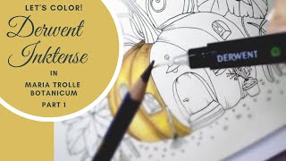 Lets Color with DERWENT INKTENSE  These Pencils are MAGICAL  Maria Trolle Botanicum  PART 1 [upl. by Edmonda]